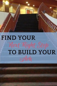Your next right step is the thing God commanded you to do. 