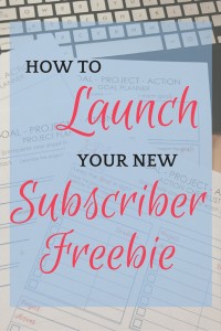 Treat your subscriber freebie like the valuable piece of work it is, and give it a proper launch!