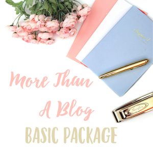 More Than A Blog Ministry Master Plan Course Basic Package