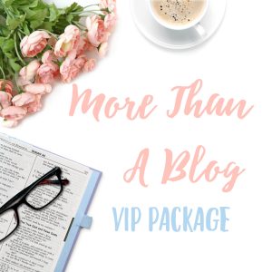 More Than A Blog Ministry Master Plan Course VIP Package