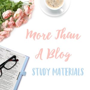 More Than A Blog Success Foundations OLDPackage