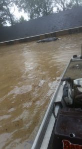 What I Lost in the Great Flood of 2016