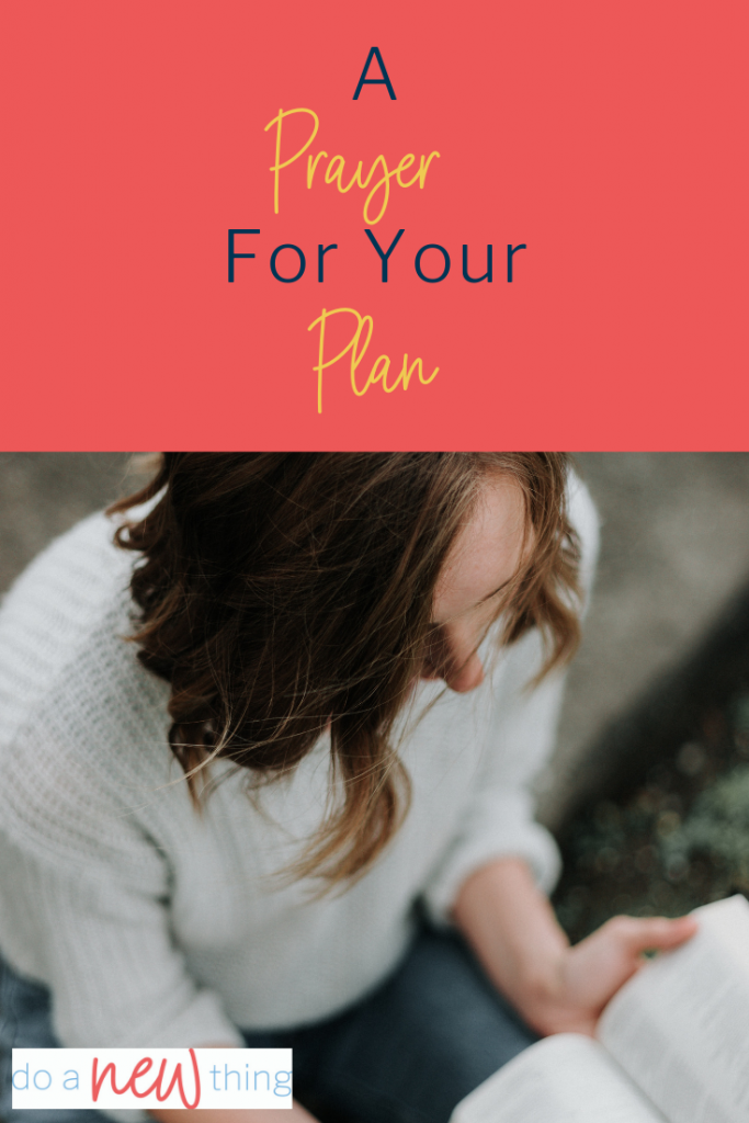 Offer this prayer for your plan and allow God to bless or change it.