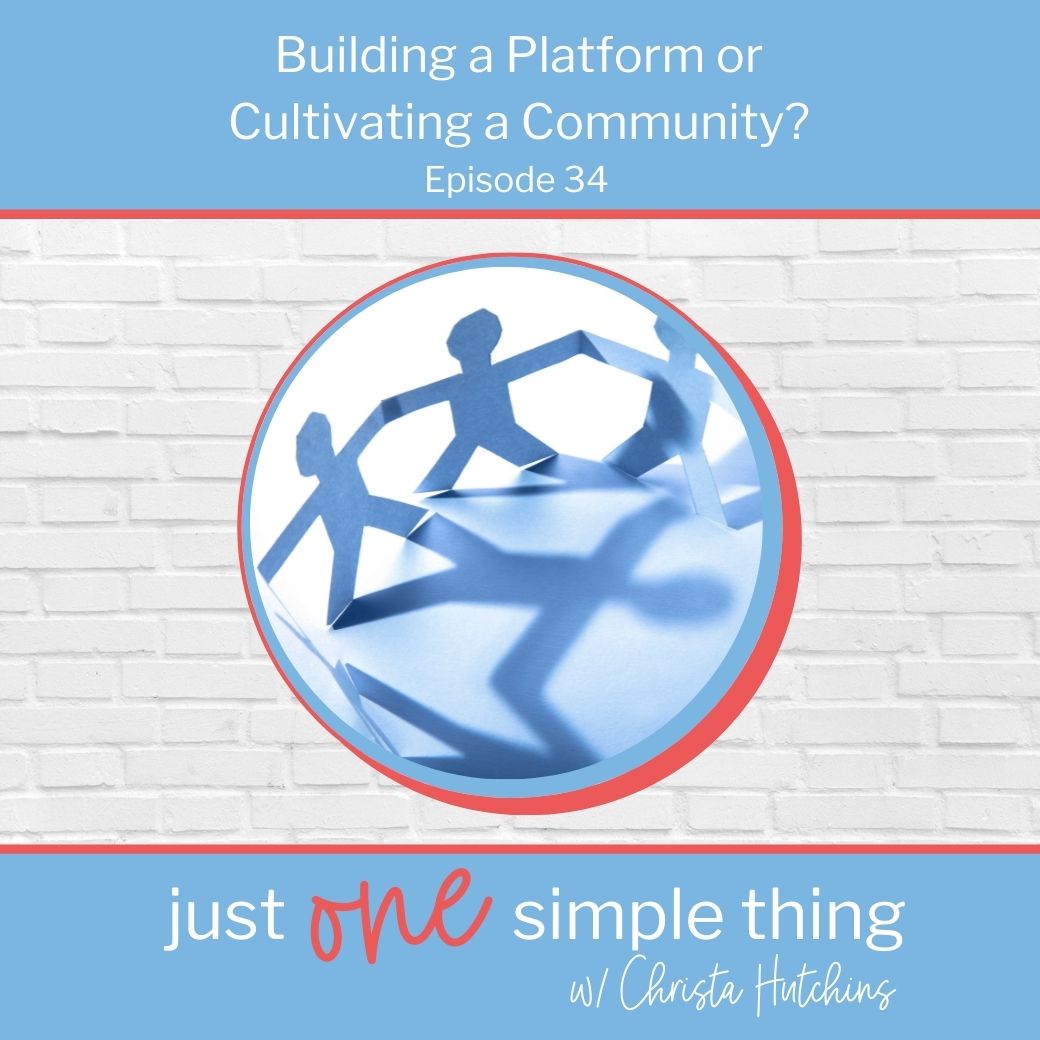 Building a Platform or Cultivating a Community?
